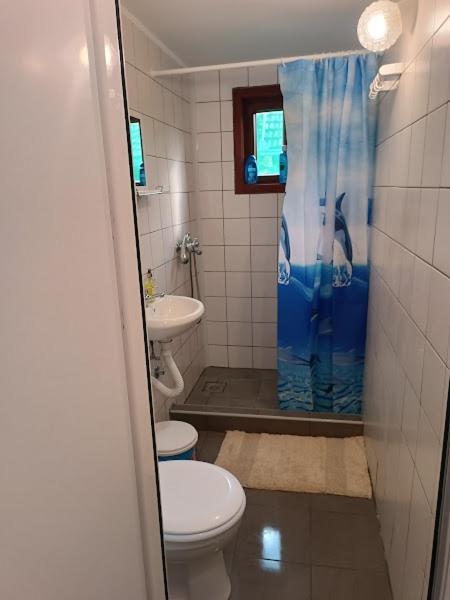 Vikendica Ovcar Banja Holiday home *